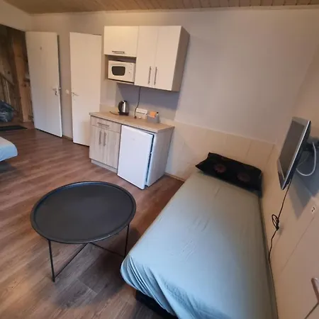 Butas Apartamentai Sinagogos 9 *