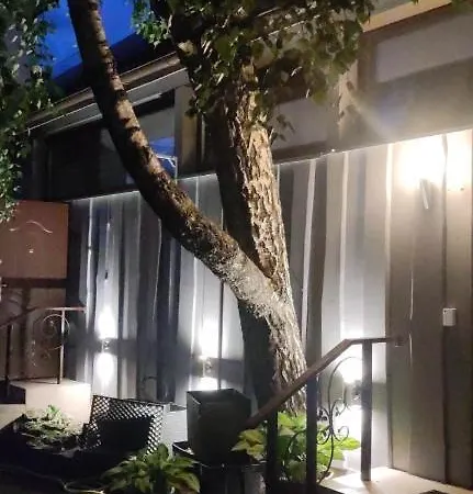 Apartamentai Sinagogos 9