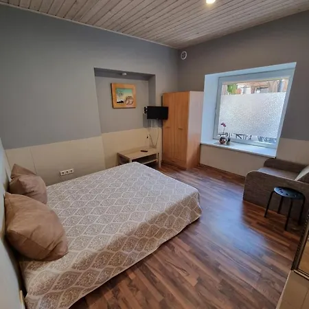 Butas Apartamentai Sinagogos 9 *
