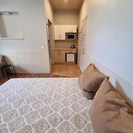 Apartamentai Sinagogos 9 Appartement *